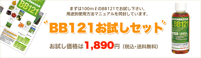 BB121お試しセット申込みへ